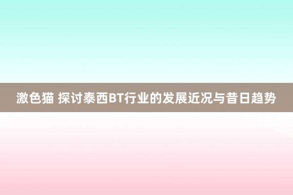 激色猫 探讨泰西BT行业的发展近况与昔日趋势