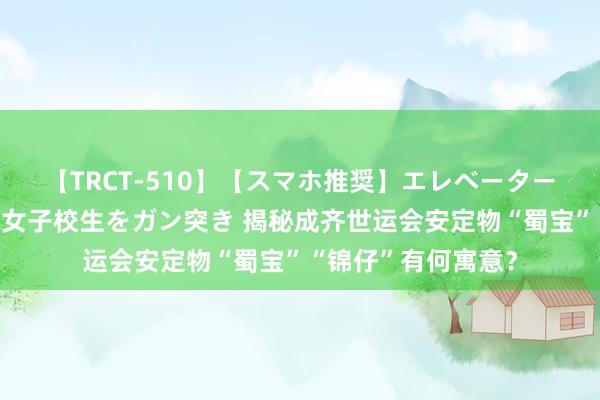 【TRCT-510】【スマホ推奨】エレベーターに挟まれたデカ尻女子校生をガン突き 揭秘成齐世运会安定物“蜀宝”“锦仔”有何寓意？