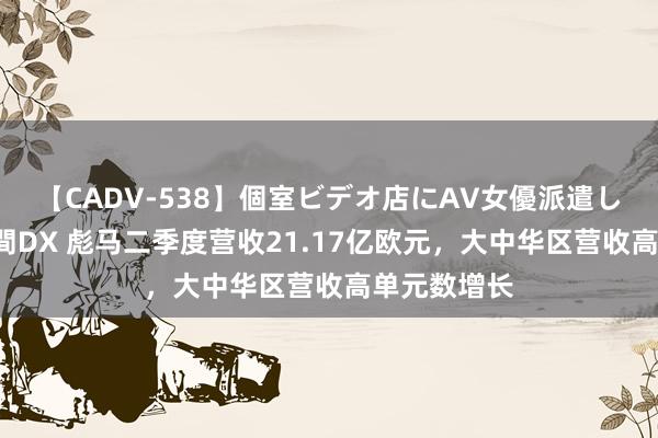 【CADV-538】個室ビデオ店にAV女優派遣します。8時間DX 彪马二季度营收21.17亿欧元，大中华区营收高单元数增长