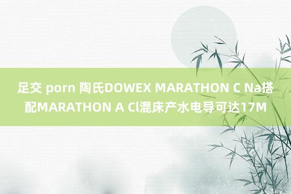 足交 porn 陶氏DOWEX MARATHON C Na搭配MARATHON A Cl混床产水电导可达17M