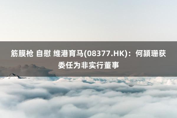 筋膜枪 自慰 维港育马(08377.HK)：何頴珊获委任为非实行董事