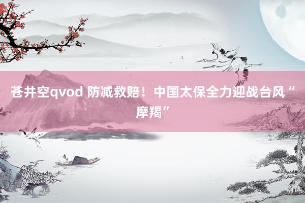 苍井空qvod 防减救赔！中国太保全力迎战台风“摩羯”