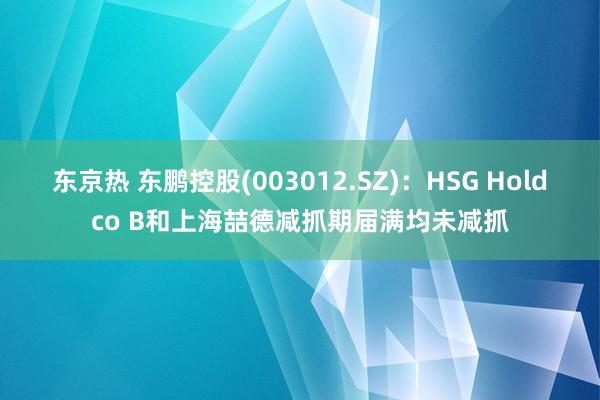 东京热 东鹏控股(003012.SZ)：HSG Holdco B和上海喆德减抓期届满均未减抓