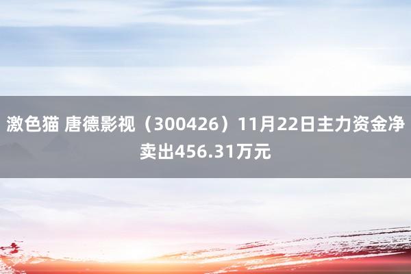 激色猫 唐德影视（300426）11月22日主力资金净卖出456.31万元