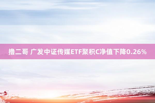 撸二哥 广发中证传媒ETF聚积C净值下降0.26%