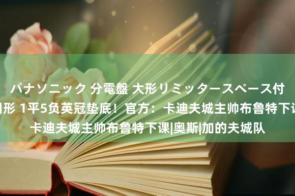 パナソニック 分電盤 大形リミッタースペース付 露出・半埋込両用形 1平5负英冠垫底！官方：卡迪夫城主帅布鲁特下课|奥斯|加的夫城队